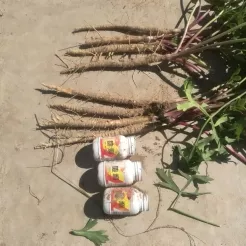 中药材