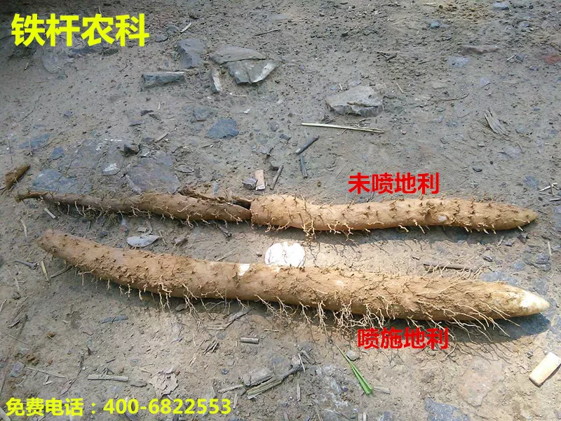 山药