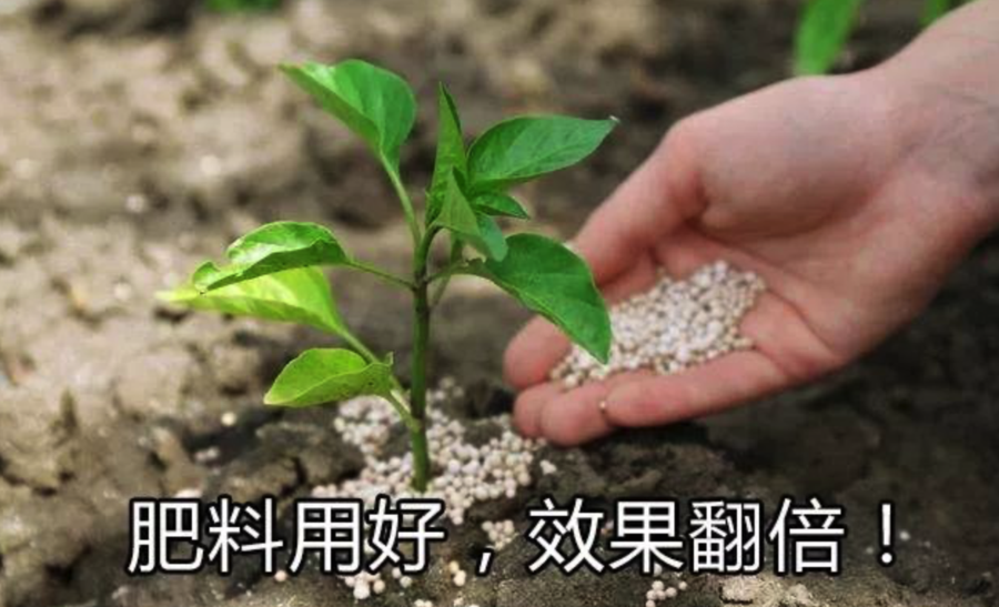 菌肥 菌肥