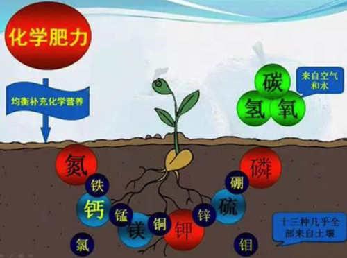 菌肥 菌肥